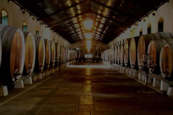 Colares Regional Winery